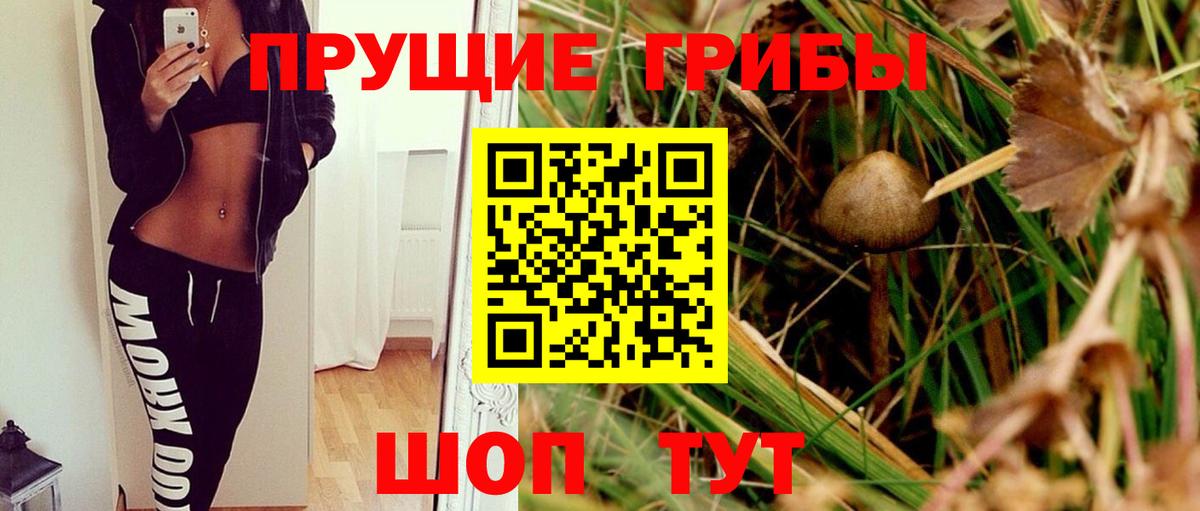 Чебоксары  Галлюциногенные грибы прущие грибы  Галлюциногенные грибы Psilocybe  Вход с VPN 
